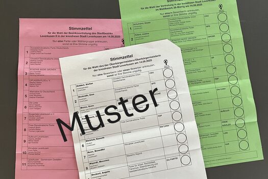 Muster der Stimmzettel