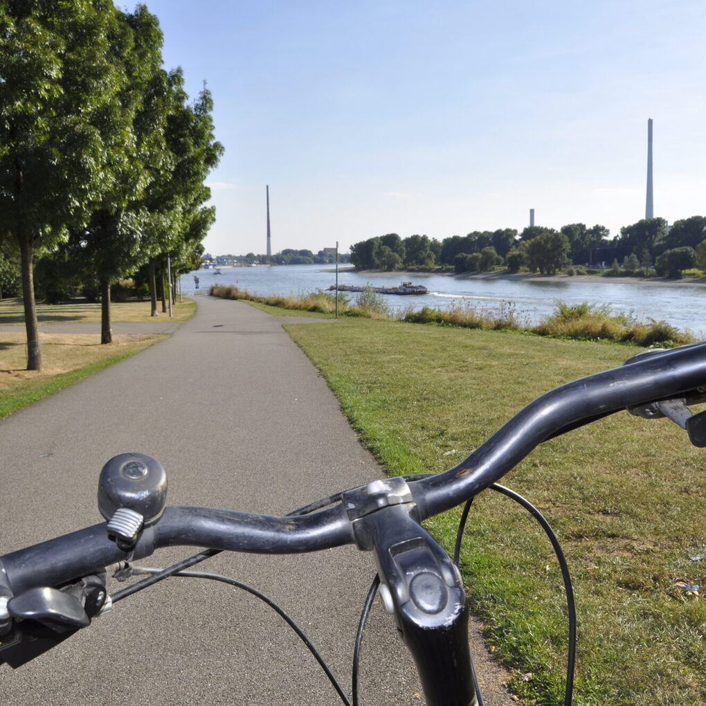 Fahrradweg entlang des Rheins