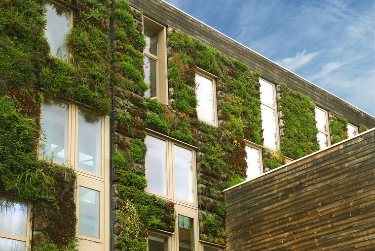 Mur végétal d'un batîment