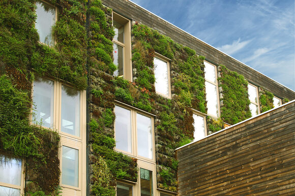 Mur végétal d'un batîment