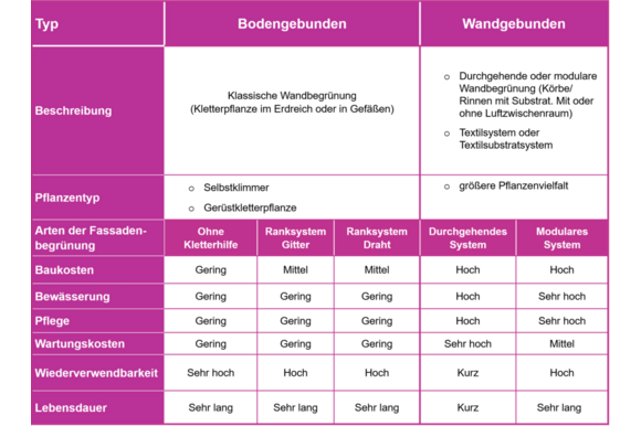 Tabelle Fassadenbegrünung