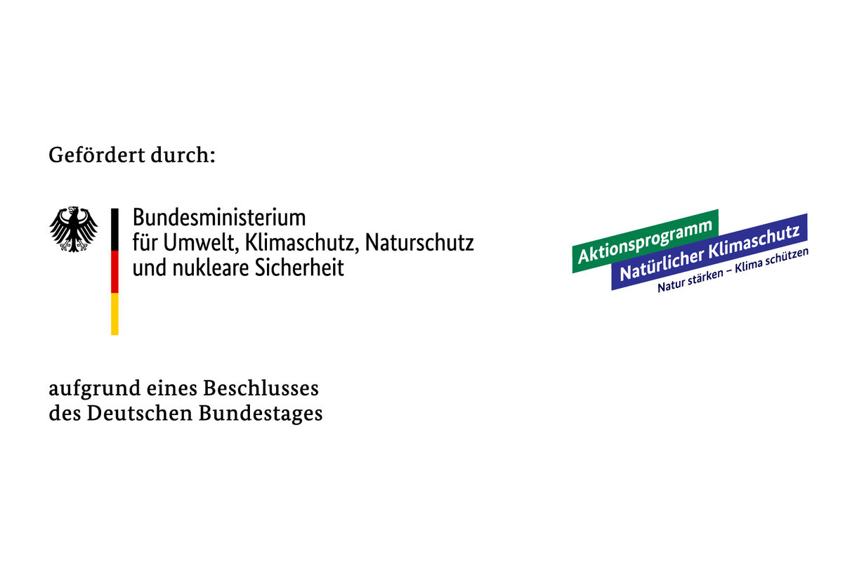 Logo des "Aktionsprogramms Natürlicher Klimaschutz" (ANK) der Bundesregierung