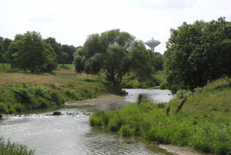 Der Fluss Dhünn in einem renaturierten Abschnitt