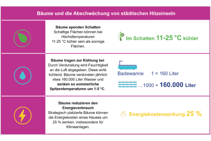 Tabelle: Bäume und die Abschwächung von städtischen Hitzeinseln