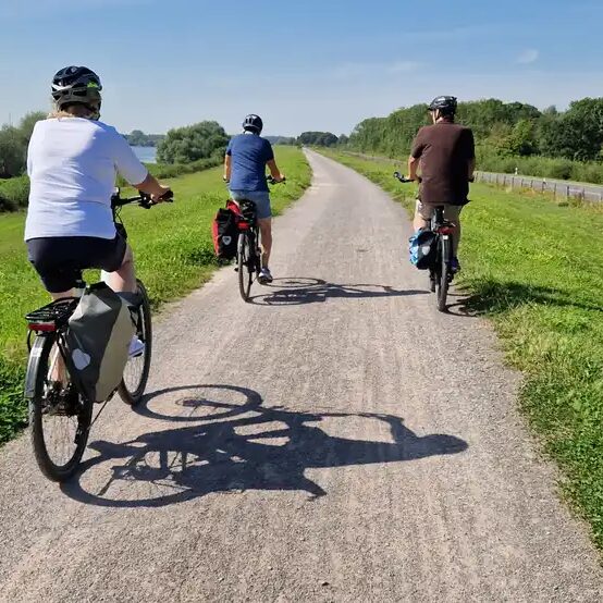 Radfahrende am Rhein