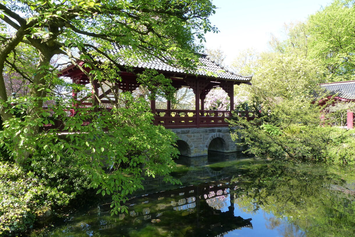 Im Japanischen Garten mit "Mikado"-Brücke und See