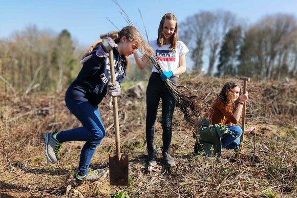 Frei Kinder graben mit einer Schaufel - Waldakademie
