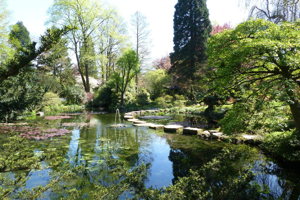 Japanischer Garten