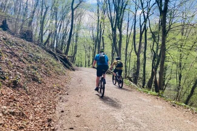 Zwei Radfahrer im Wald