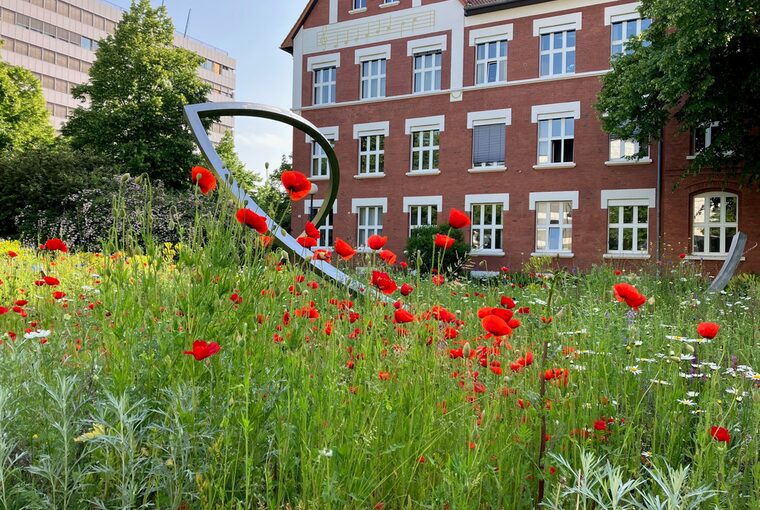 Das Gebäude der Leverkusener Musikschule